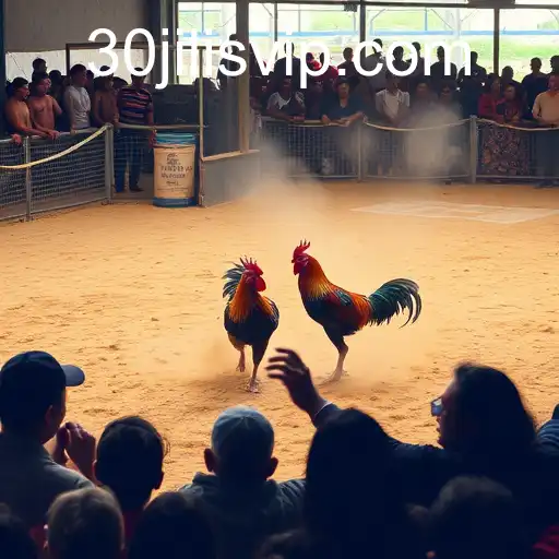 Exploring the Intricacies of Sabong Games